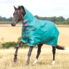 SHIRES TEMPEST Попона прогулочная для лошади с отстегным капором "Original", 600D, 100g, изумрудный